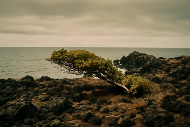 Rocky volcanic island shoreline with wind-bent scrub and open gray ocean beyond