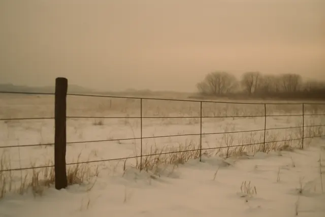 Snow-covered field at dawn with a wire fence and bare trees on the far horizon