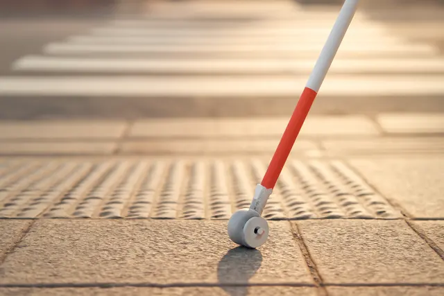 White Cane Safety Day