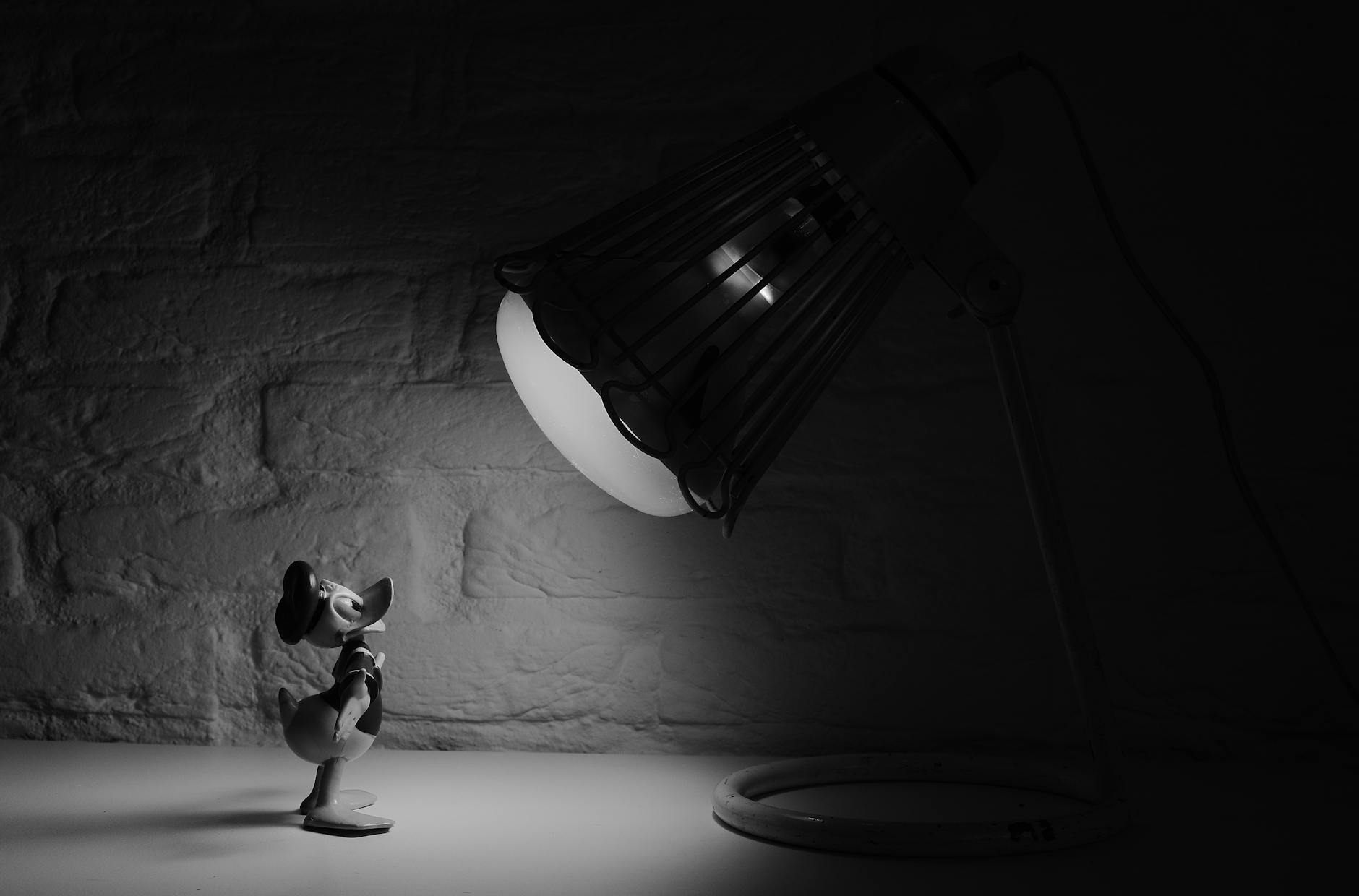 grayscale photography of donald duck in front of lamp