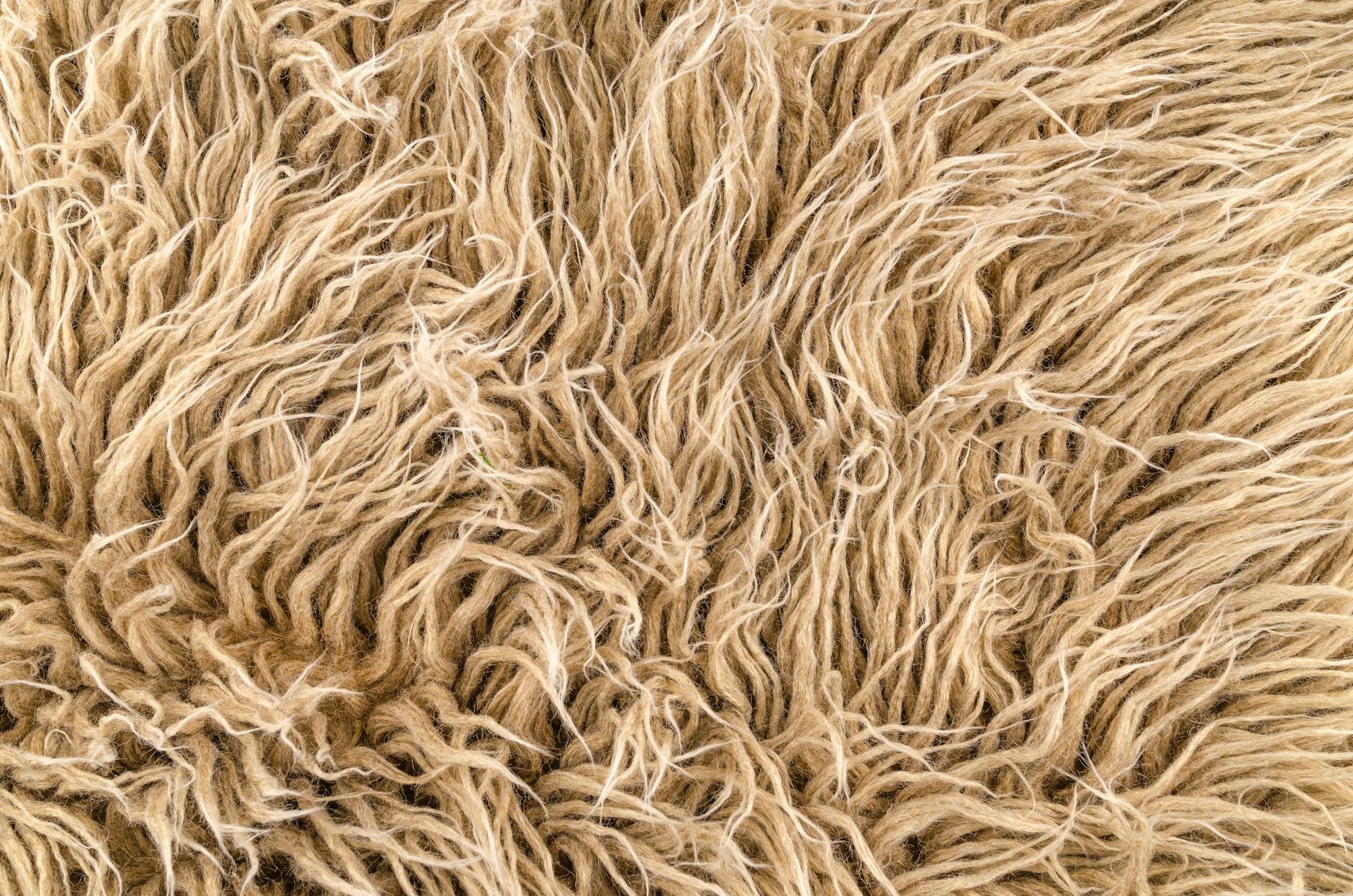 close up photo of brown furry texture