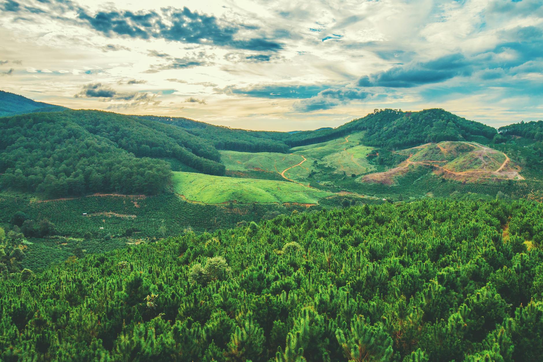 scenic view of mountains