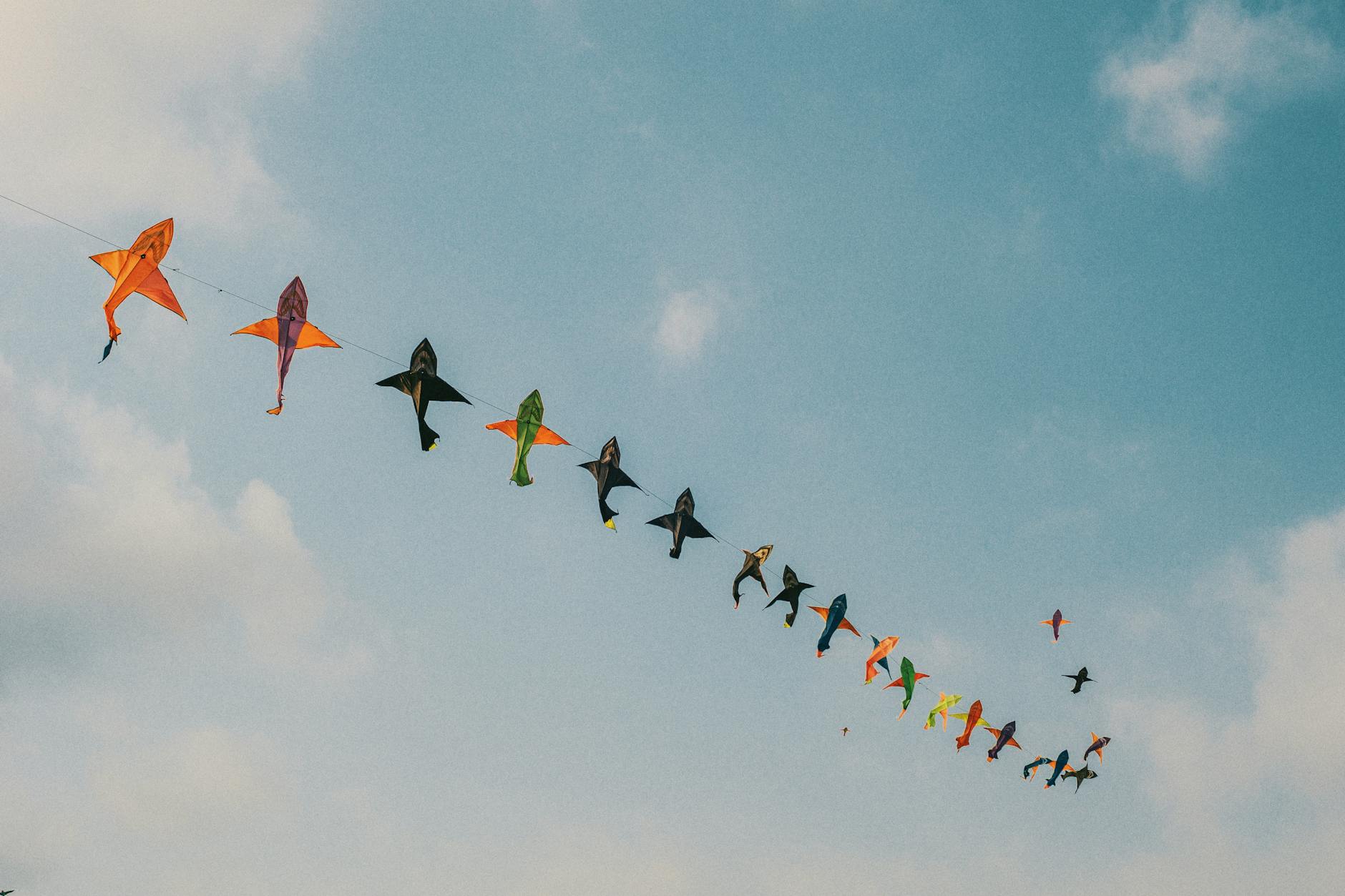 assorted color kites