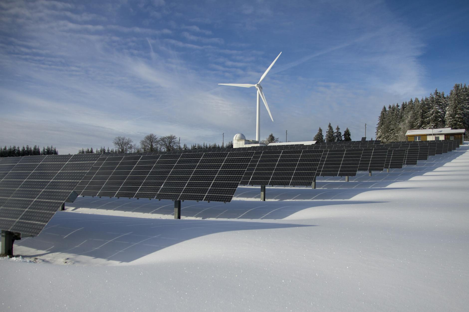 Energy Efficiency Day