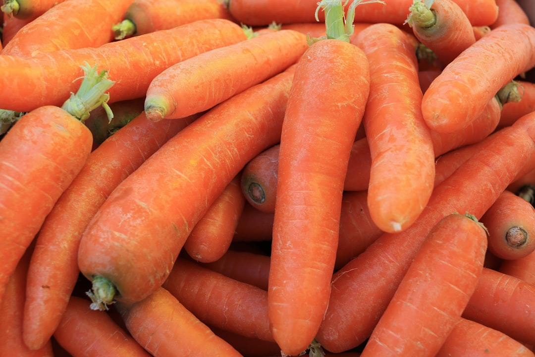 International Carrot Day